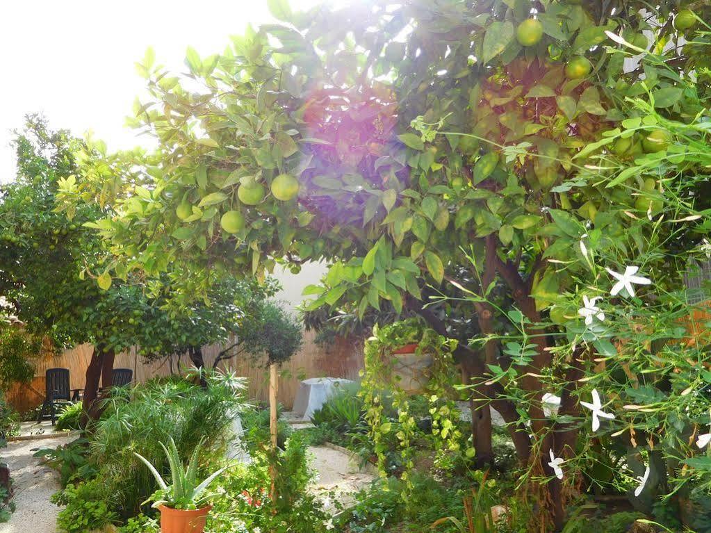 נוטו B&B Vinci מראה חיצוני תמונה